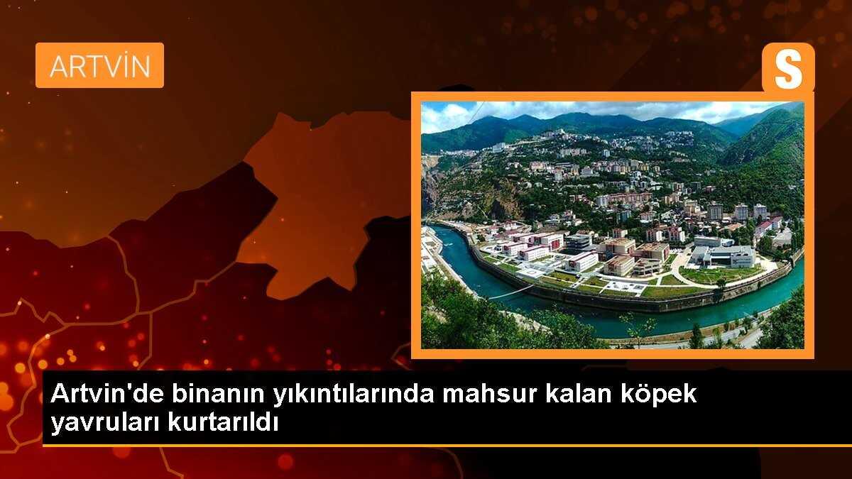 Artvin\'de binanın yıkıntılarında mahsur kalan köpek yavruları kurtarıldı