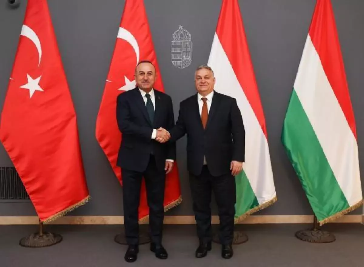 Dışişleri Bakanı Çavuşoğlu, Macaristan Başbakanı Orban ile görüştü