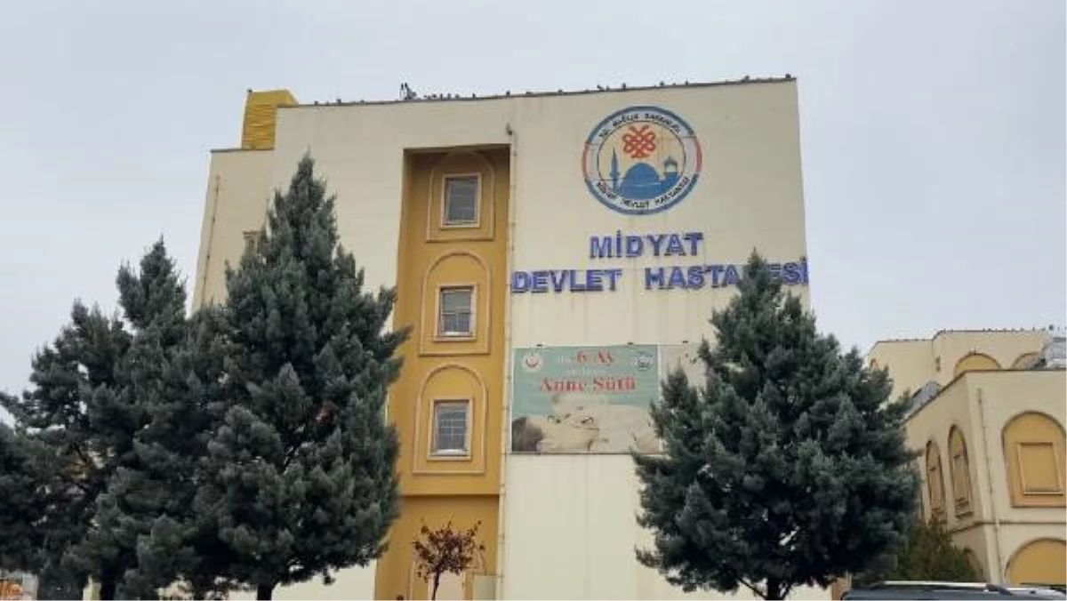 Eski HDP\'li vekil sobadan sızan gazdan zehirlendi (2)