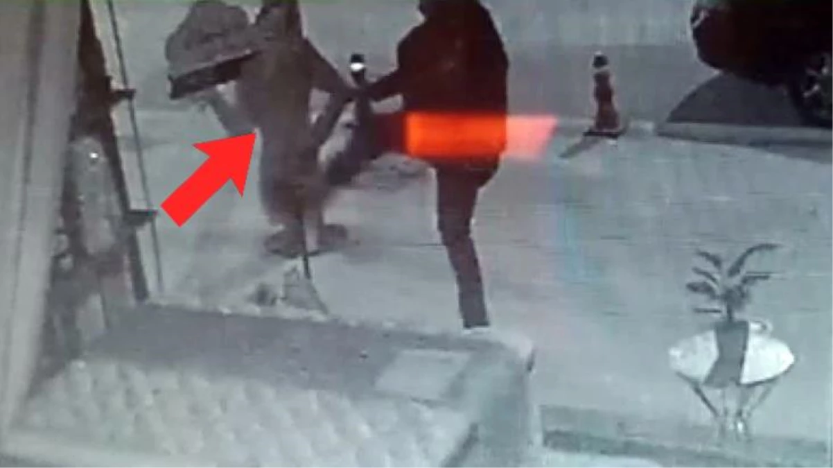 Hülya Avşar\'ın maketiyle tekme tokat kavga eden şahıs kamerada