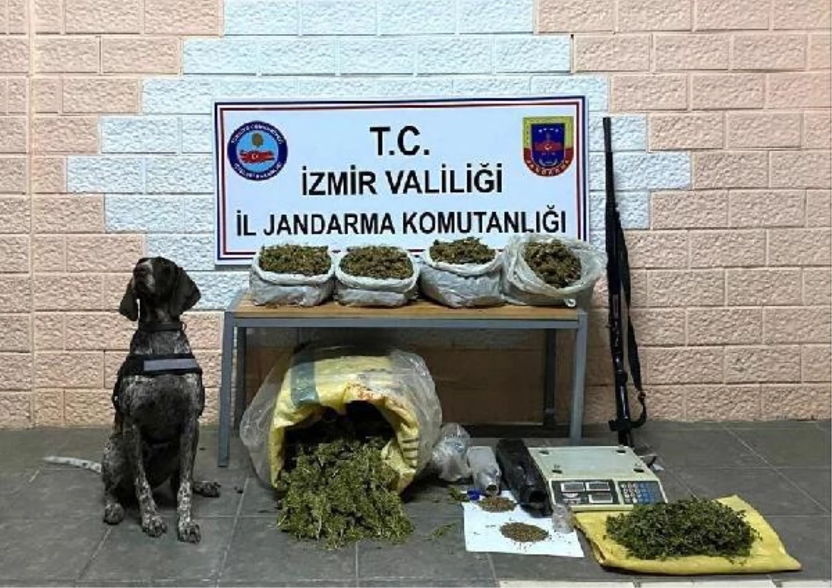 İzmir\'de zehir tacirlerine \'kökünü kurutma operasyonu\': 59 gözaltı