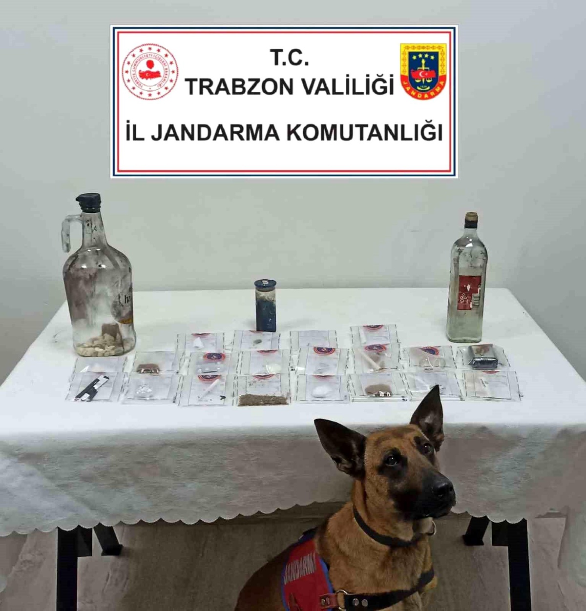 Jandarmadan uyuşturucu partisine baskın