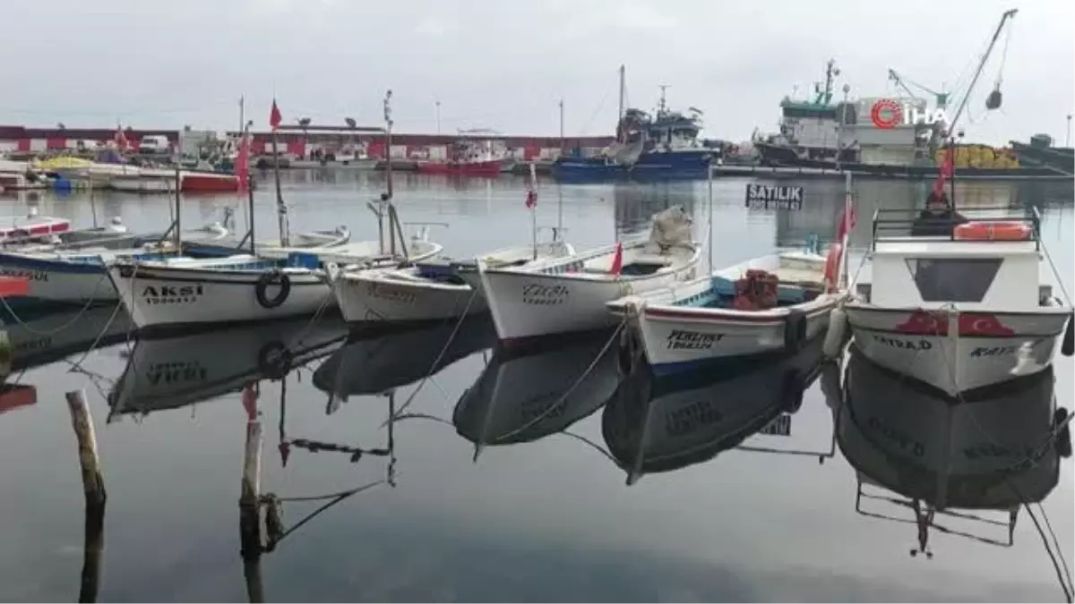 Marmara Denizinde bir aydır avlanması yasak olan karides için yasak bu geceden sonra sona eriyor