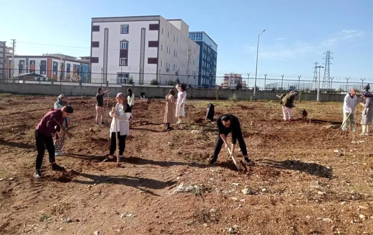 Öğrenciler yurt bahçesine fidan dikti