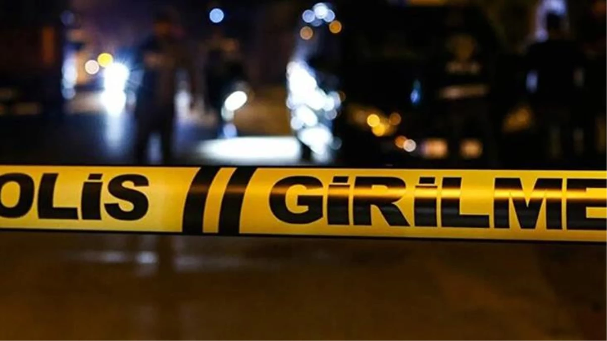 Samsun\'da bir genç, annesine şiddet uygulayan abisini öldürdü