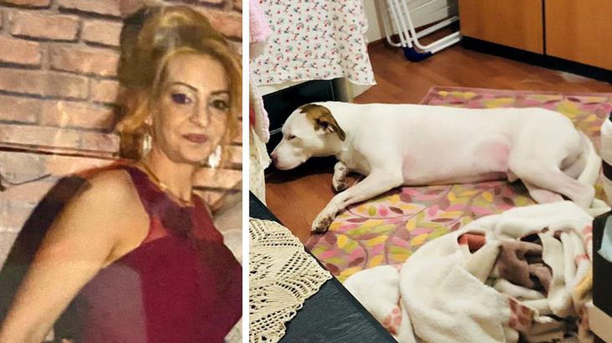 Yalnız yaşayan kadının sır ölümü! İçeri giren ekipler köpeğini başında buldu