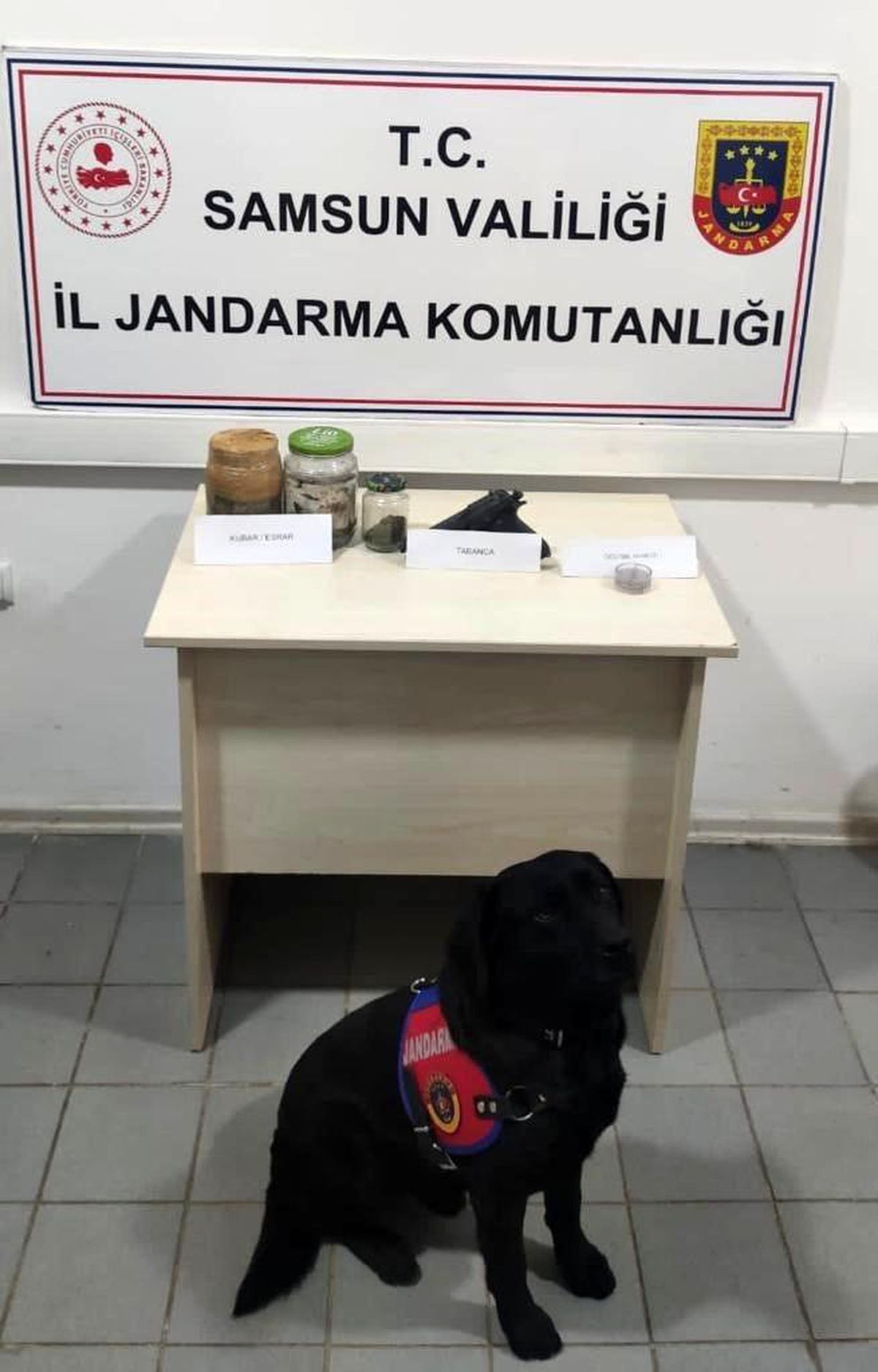 19 Mayıs\'ta uyuşturucu ve tabanca ele geçirildi