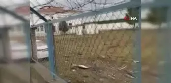 Babasının arabasını kaçıran çocuk duvara çarparak durabildi: 1 yaralı