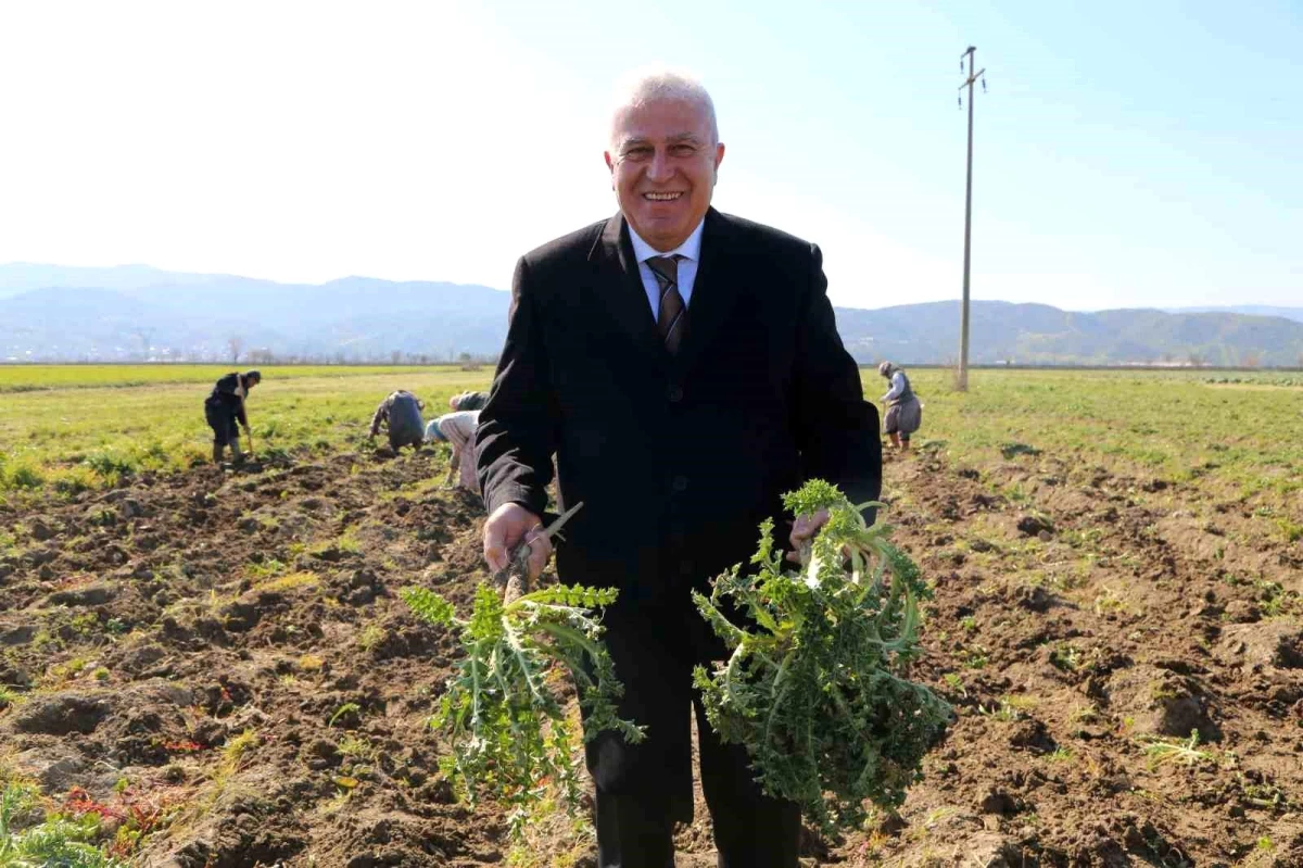 Başkan Atay, Efeler\'de tarıma değer katıyor