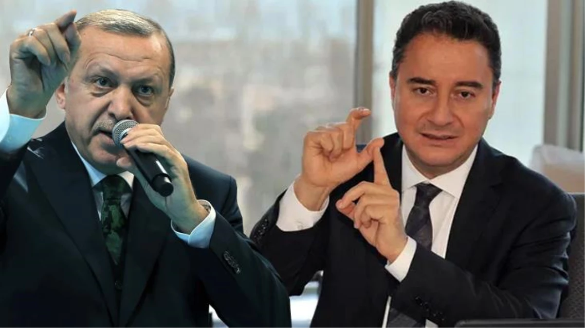 Babacan\'ın "Avrupa bize aferin diyecek" sözleri Cumhurbaşkanı Erdoğan\'ı kızdırdı: Yazıklar olsun sana