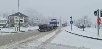 Düzce'de kar yağışı