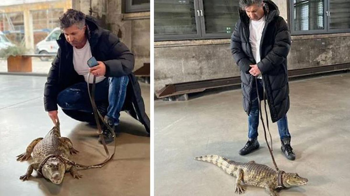 Loto milyarderi Kürşat evcil hayvan olarak timsah aldı, tasma takıp gezdiriyor