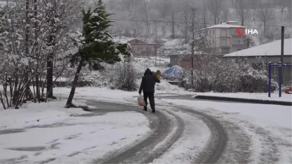 Ordu\'da karla mücadele başladı