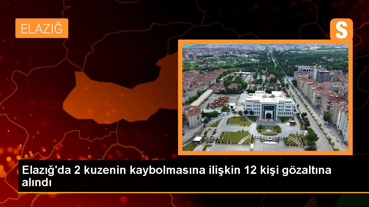 Elazığ\'da 2 kuzenin kaybolmasına ilişkin 12 kişi gözaltına alındı