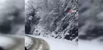 Giresun'da karla mücadele