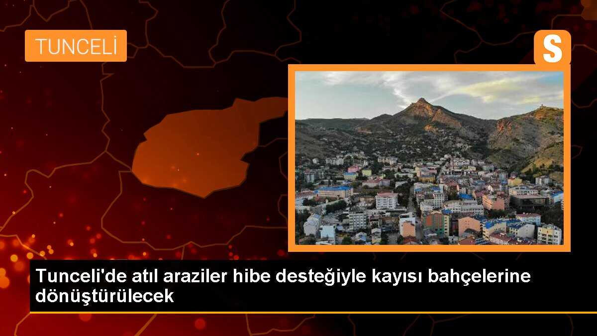Tunceli\'de atıl araziler hibe desteğiyle kayısı bahçelerine dönüştürülecek