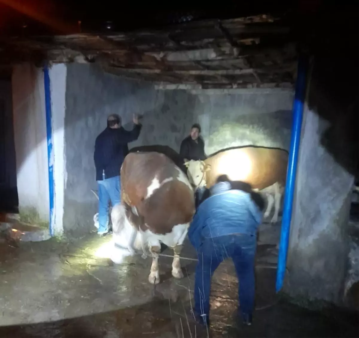 Yağışlara dayanamayan ev ve ahır çöktü