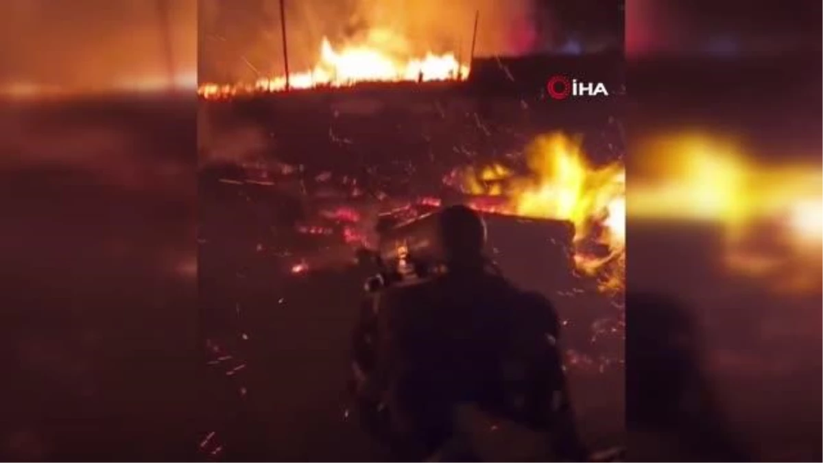 Şili\'de orman yangını: 750 hektar küle döndü