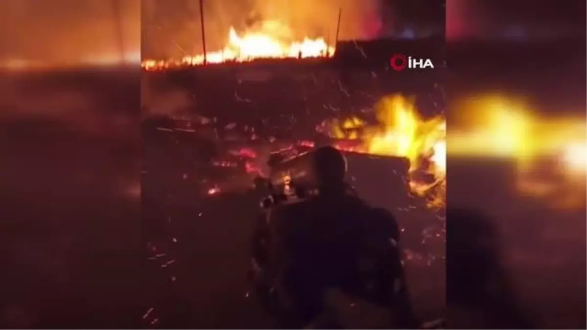 Şili\'de orman yangını: 750 hektar küle döndü