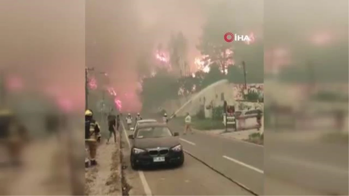 Şili\'deki orman yangınlarında 4 kişi hayatını kaybetti