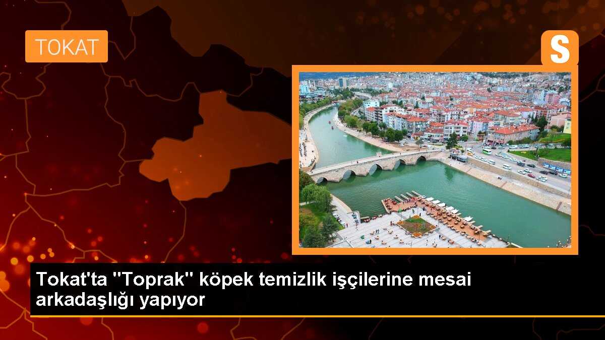 Tokat\'ta "Toprak" köpek temizlik işçilerine mesai arkadaşlığı yapıyor