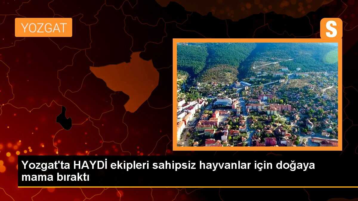 Yozgat\'ta HAYDİ ekipleri sahipsiz hayvanlar için doğaya mama bıraktı