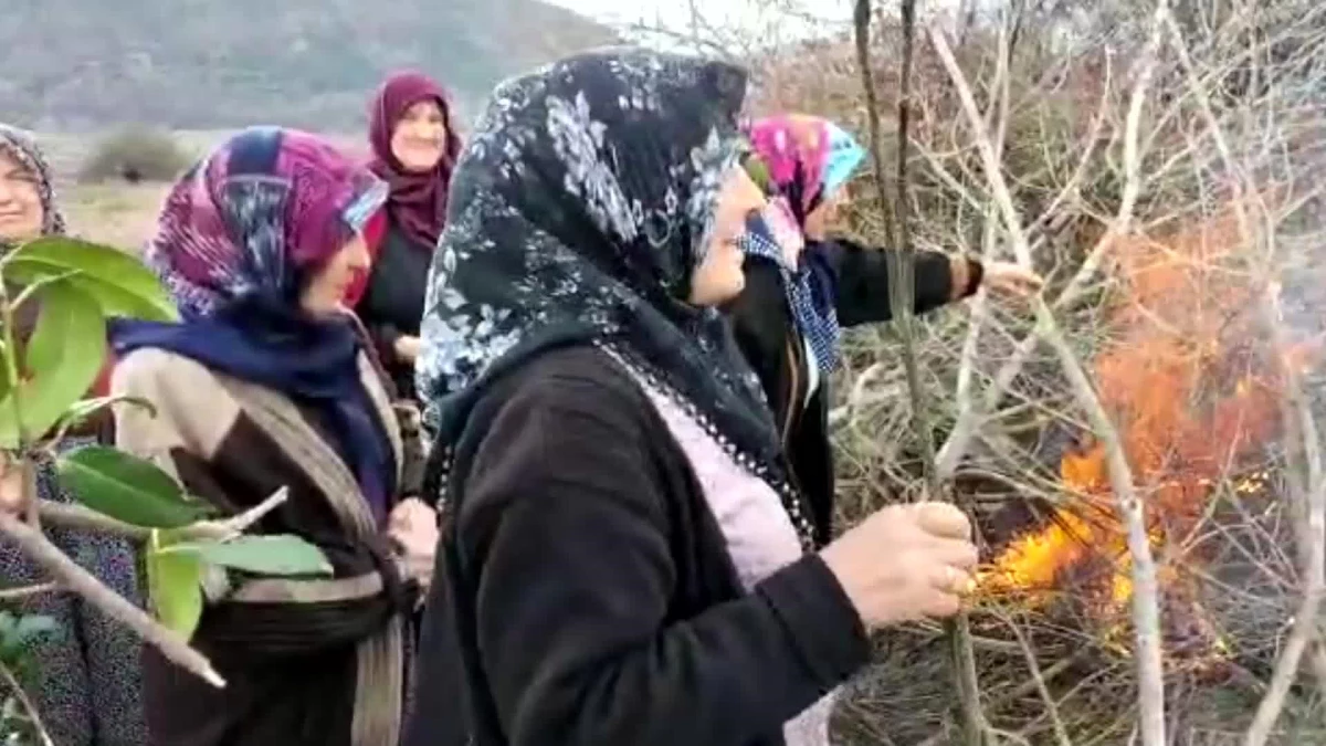 Amasya Çambükü\'nde Organize Sanayi Bölgesi Planına Karşı Direnen Kadınlar, Mahkemenin Durdurma Kararının Ardından Mera Alanlarına Meyve Fidan Dikti