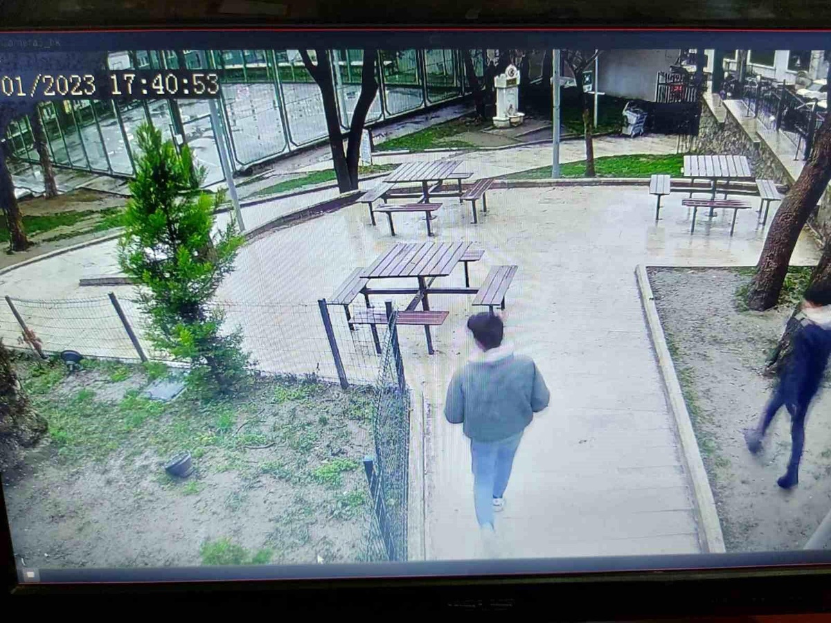 Bursa\'da parktaki kedi kulübelerini yakıp, çöp kutularına zarar verdiler