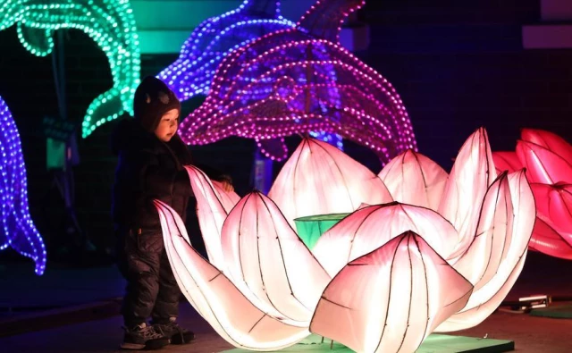 Çin'de Fener Festivali Hazırlıkları Renkli Görüntülere Sahne Oluyor