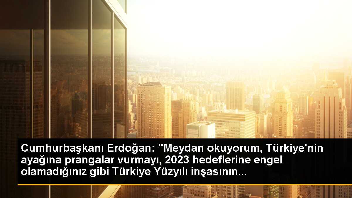 Cumhurbaşkanı Erdoğan: "Meydan okuyorum, Türkiye\'nin ayağına prangalar vurmayı, 2023 hedeflerine engel olamadığınız gibi Türkiye Yüzyılı inşasının...