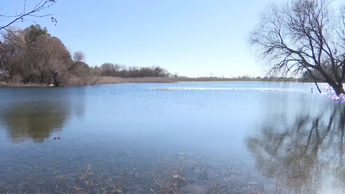 Dünya Sulak Alan Günü\'nde Antalya\'da İki Şahin, Doğaya Bırakıldı