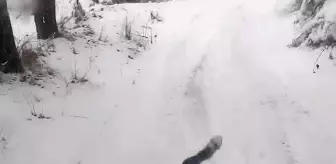 Elazığ'da çocuklar, karın keyfini küvetle kayarak çıkardı