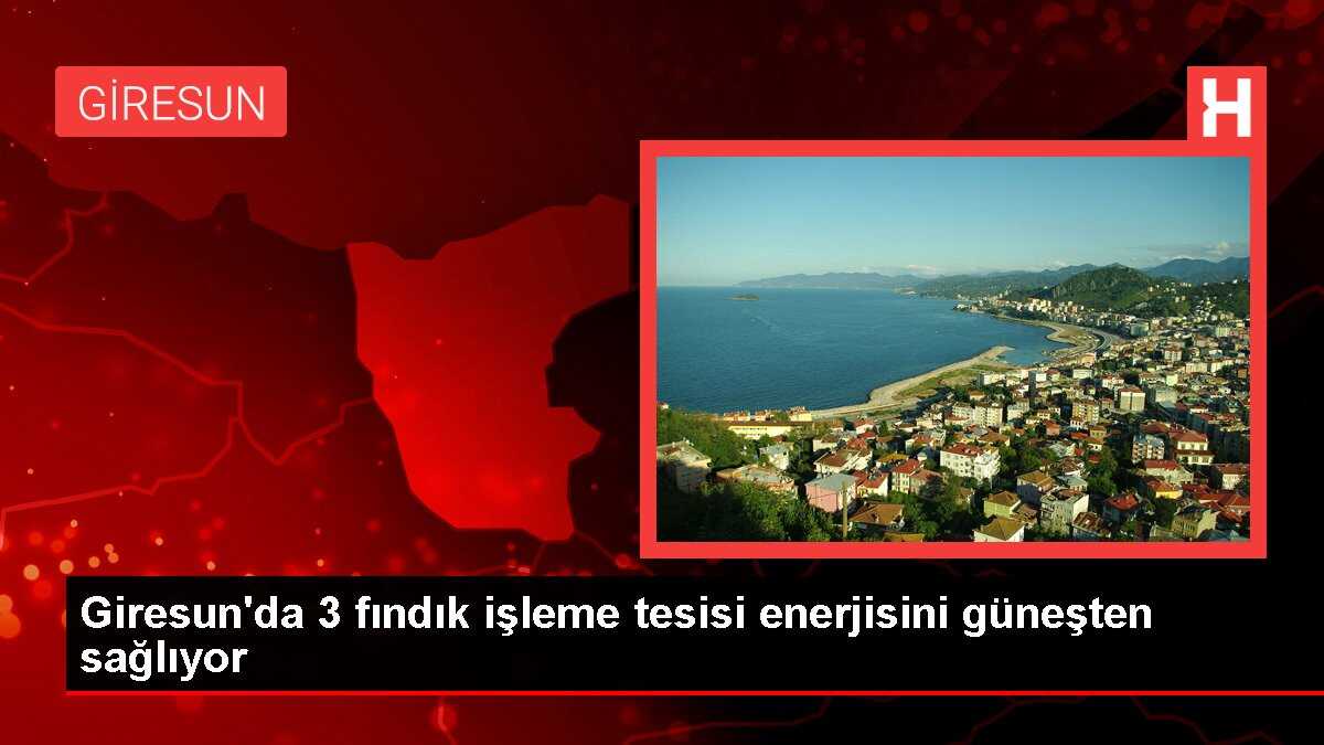 Giresun'da 3 fındık işleme tesisi enerjisini güneşten sağlıyor