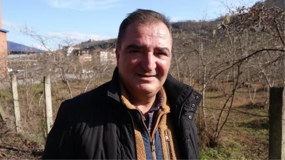 'Karadeniz'in yeşil altını' fındıkta en büyük rakip ABD olacak