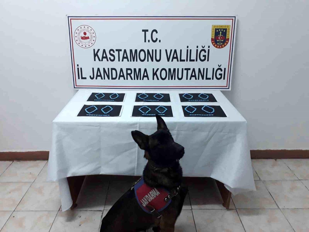 Kastamonu\'da uyuşturucu operasyonu: 6 tutuklama