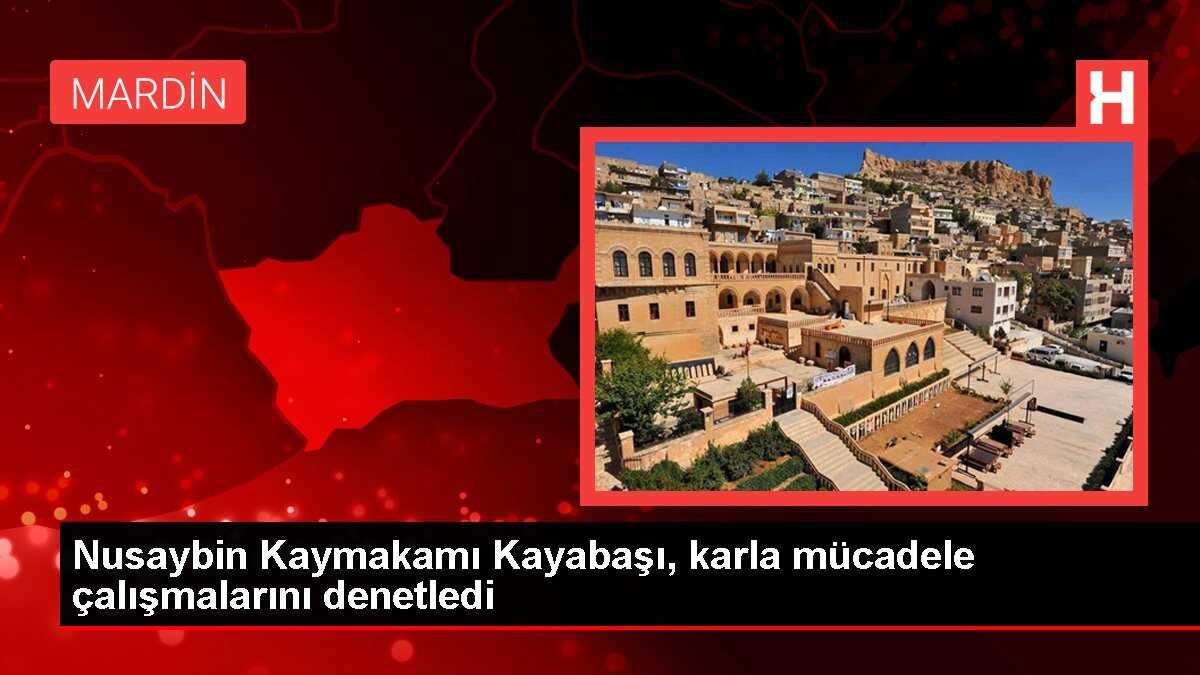 Nusaybin Kaymakamı Kayabaşı, karla mücadele çalışmalarını denetledi