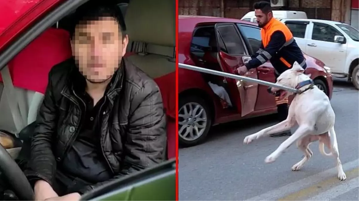 Denizli\'de alkollü sürücü kaza yaptı, saldırgan köpeği ekiplerin müdahale etmesini engelledi