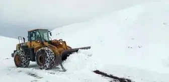Siirt'te yoğun kar yağışı nedeniyle köy yolları ulaşıma kapandı