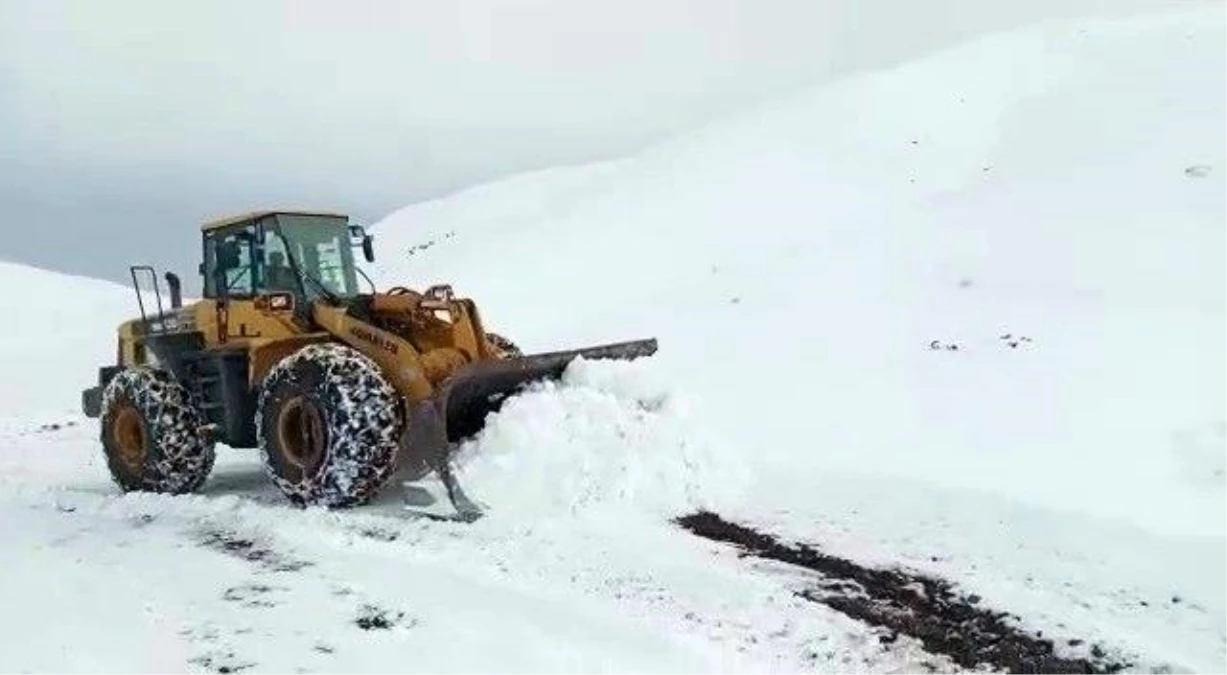 Siirt\'te yoğun kar yağışı nedeniyle köy yolları ulaşıma kapandı
