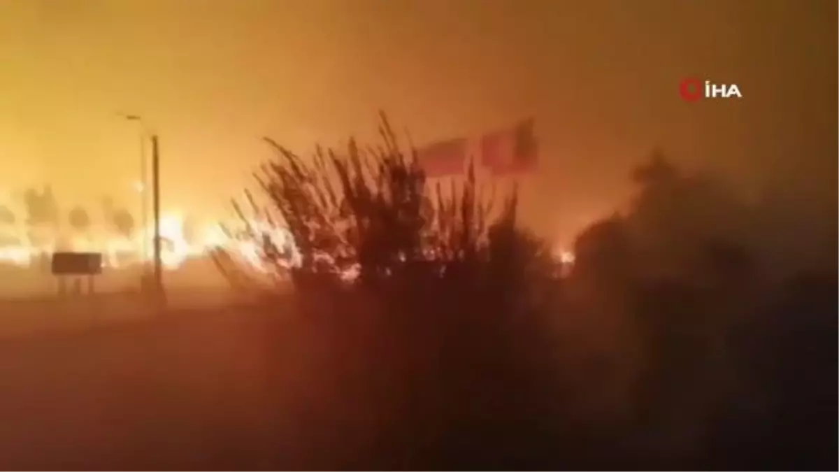 Şili\'de orman yangınlarında can kaybı 13\'e yükseldi