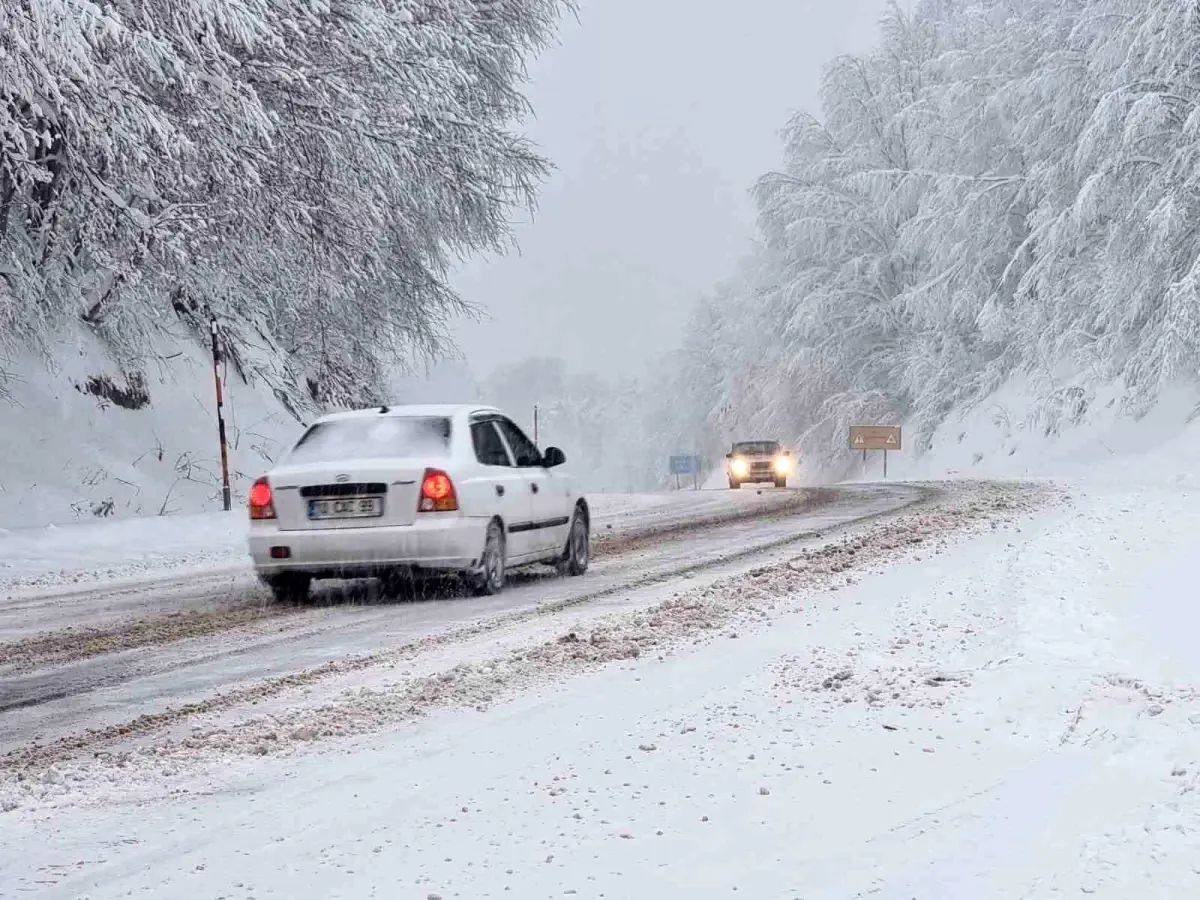 Yoğun kar yağışı, Kocayayla Geçidi'nde sürücülere zor anlar yaşatıyor