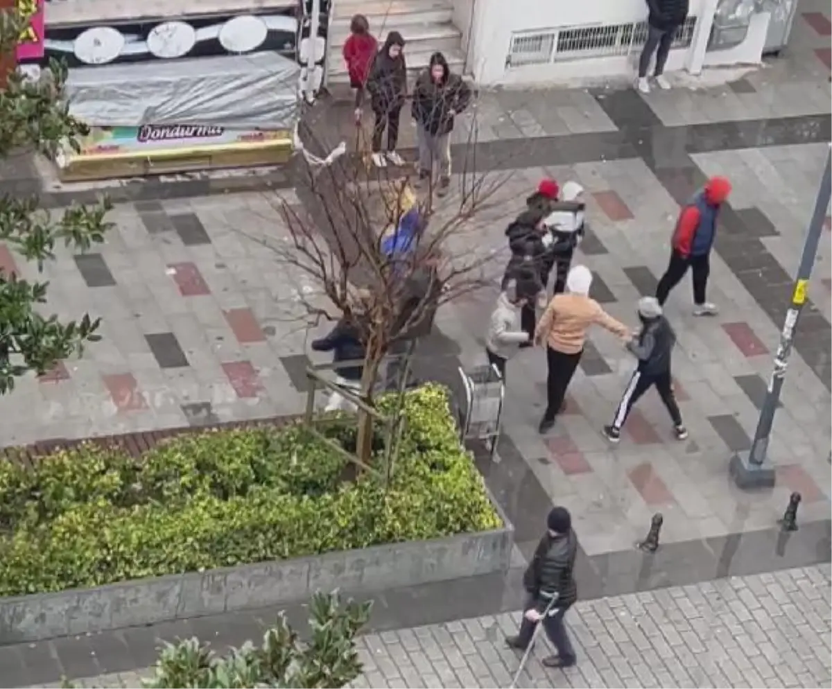 ARNAVUTKÖY\'DE CADDEDE YÜRÜYEN KADINLA ÇOCUĞA SALDIRDILAR