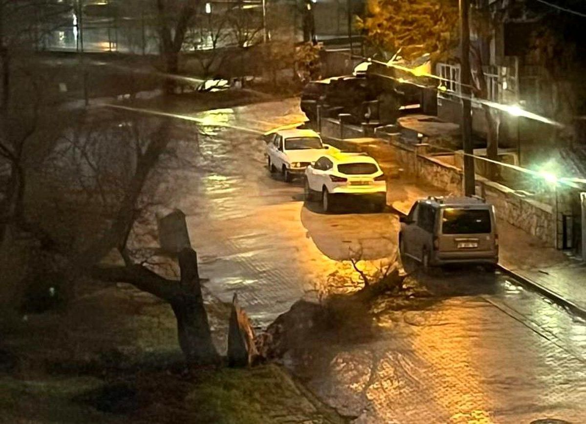 Balıkesir\'de fırtına nedeni ile ağaçlar devrildi, çatılar uçtu