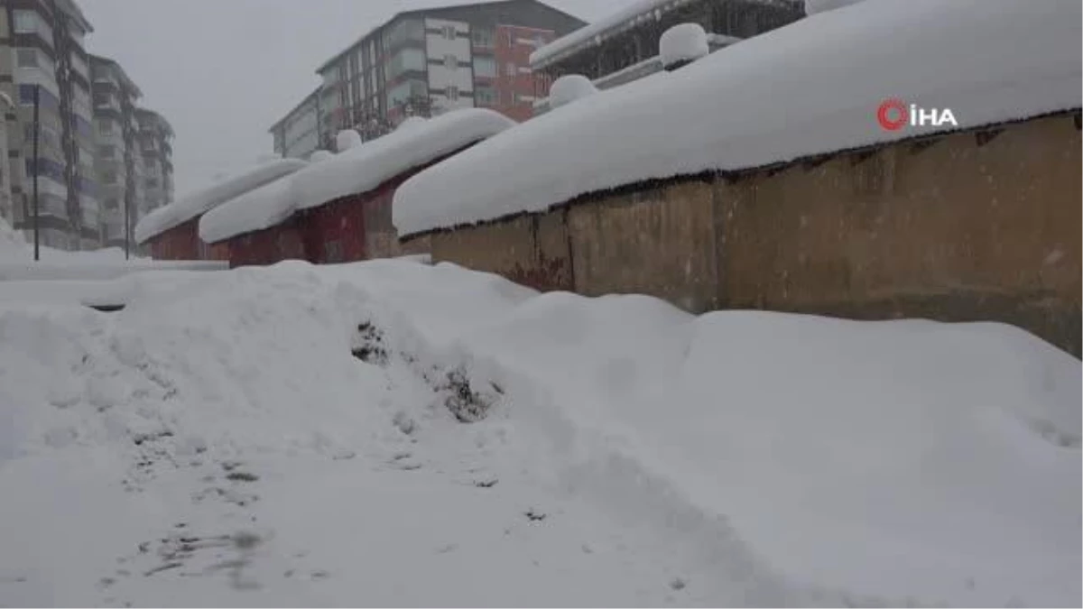 Bitlis\'te yoğun kar yağışı sonrası araçlar kara gömüldü