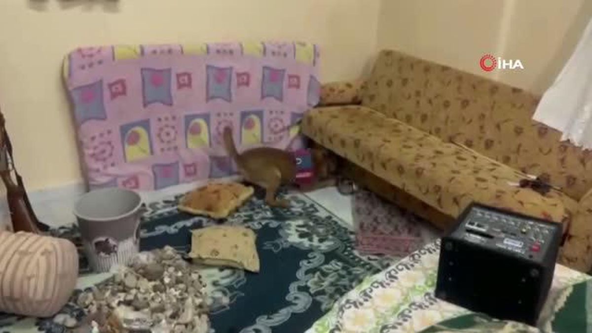 Hatay'da uyuşturucu operasyonu kamerada