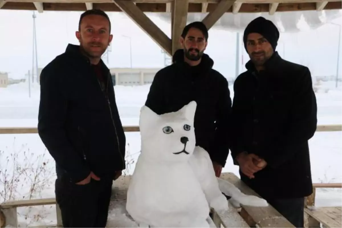 KARDAN 'VAN KEDİSİ' DE YAPTILAR