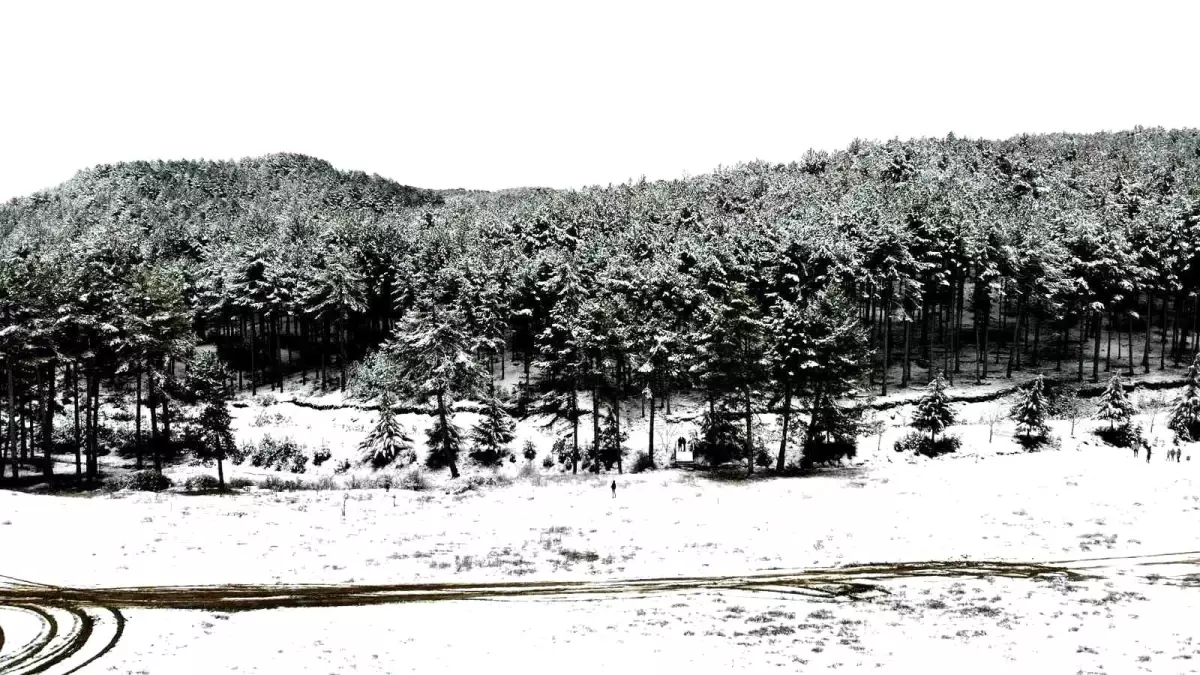 Kavaklıdere\'de kar nedeniyle okullar tatil edildi