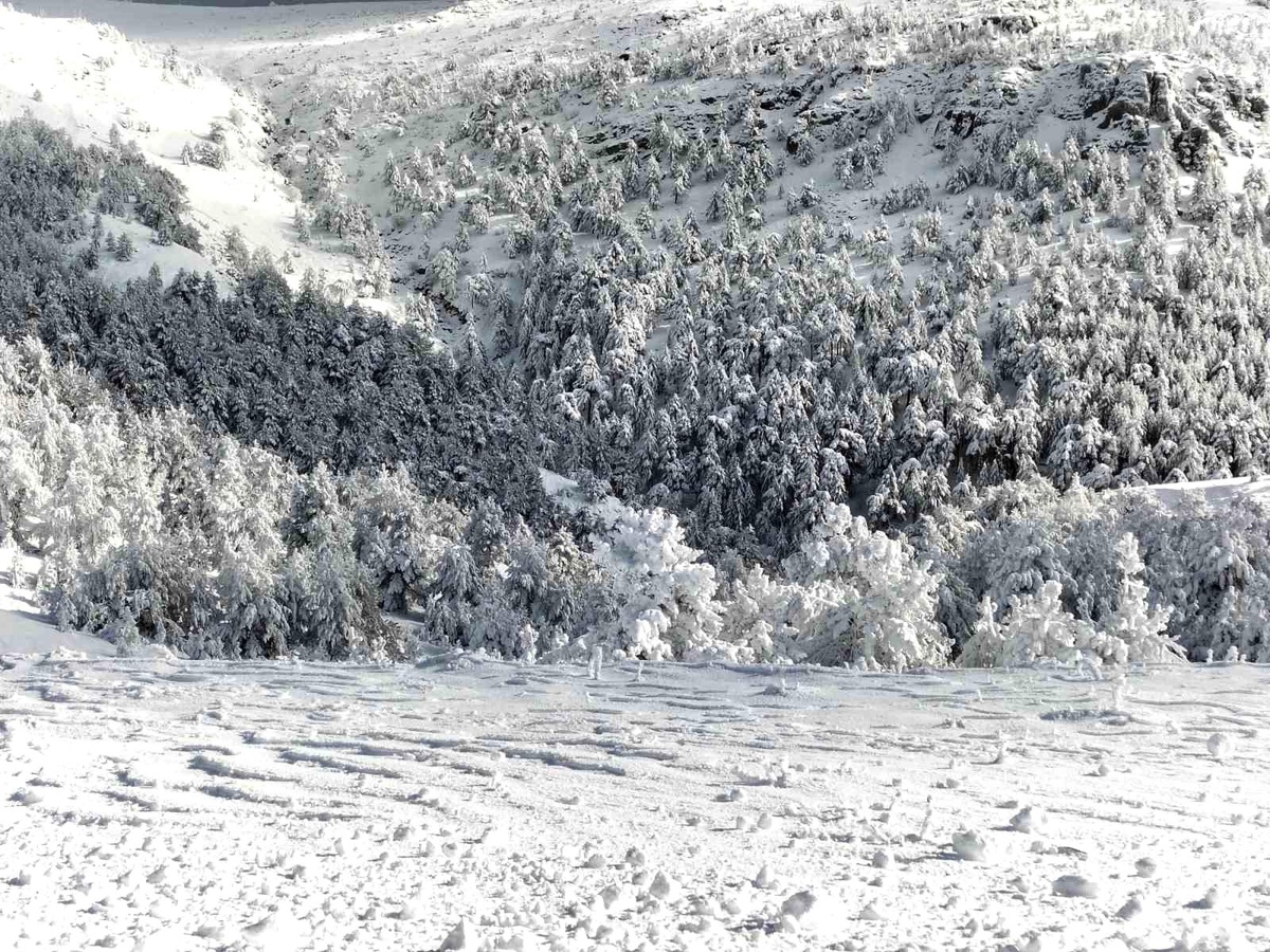 Kazdağları Milli Parkı kar yağışı nedeniyle geçici olarak ziyarete kapatıldı