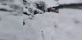Siirt'te kar yağışı nedeniyle kapanan gurup köy yolları ulaşıma açıldı