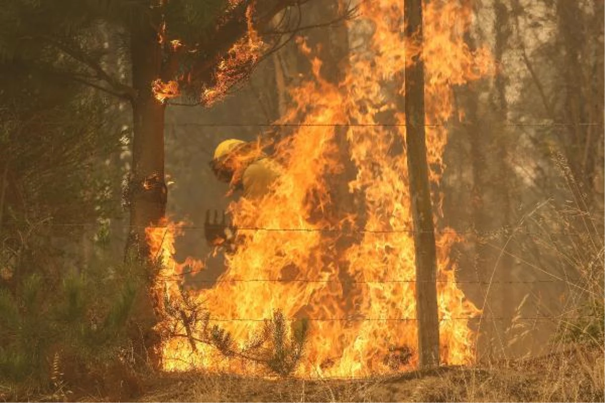 Şili\'de orman yangını: 23 ölü, 979 yaralı